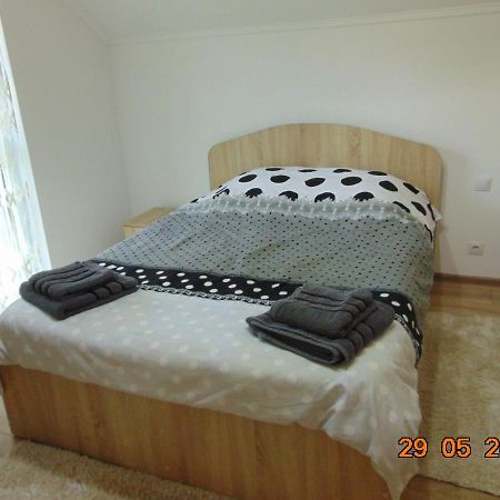 Vila Floarea De Colt Διαμέρισμα Borşa Εξωτερικό φωτογραφία