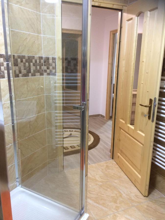 Vila Floarea De Colt Διαμέρισμα Borşa Εξωτερικό φωτογραφία
