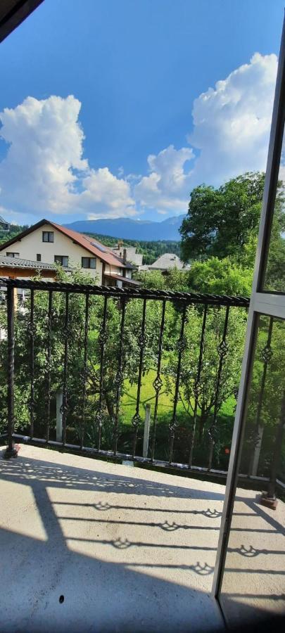 Vila Floarea De Colt Διαμέρισμα Borşa Εξωτερικό φωτογραφία