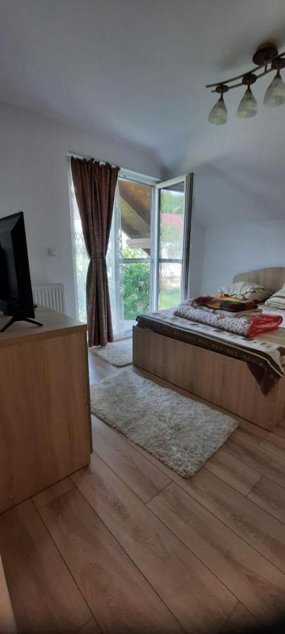 Vila Floarea De Colt Διαμέρισμα Borşa Εξωτερικό φωτογραφία
