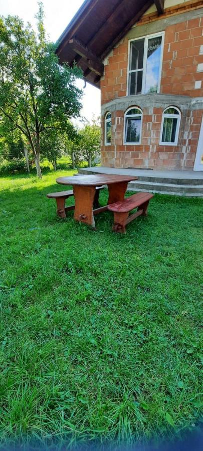 Vila Floarea De Colt Διαμέρισμα Borşa Εξωτερικό φωτογραφία