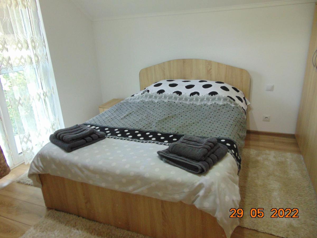 Vila Floarea De Colt Διαμέρισμα Borşa Εξωτερικό φωτογραφία