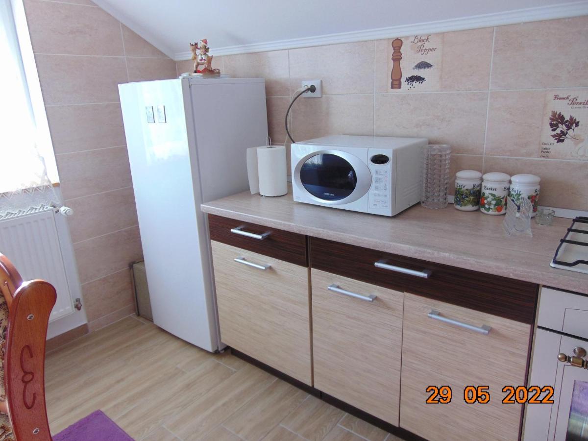 Vila Floarea De Colt Διαμέρισμα Borşa Εξωτερικό φωτογραφία
